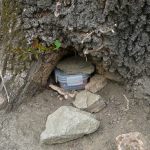 geocache